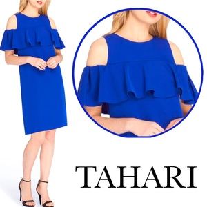 TAHARI🦋STUNNING Special Occasion Dress!